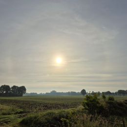 IMG-20250604-WA0011