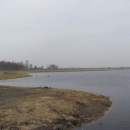 Vastenwandeling_Immanuel_10_maart_2018_19_