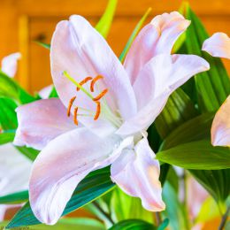 rsz_img_6407